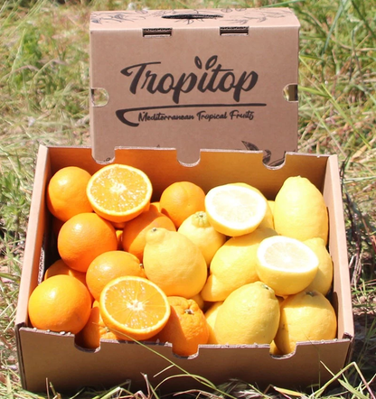 Mix Naranjas Y Limones Valencianos De Temporada Tropitop 4kg_2