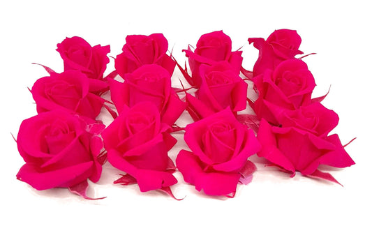 Mundo Eterno Rosas Fucsia Preservadas 12 Unidades 3-4cm_0