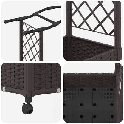 Cama Elevada Con Trellis Y Techo Marrón 124 X 40 X 129 Cm Pp_5