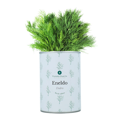 Kit de cultivo aromáticas Eneldo Planeta Huerto
