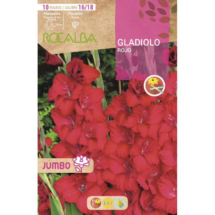 Bulbo Gladiolo Jumbo Rojo 10 unidades (16/18)