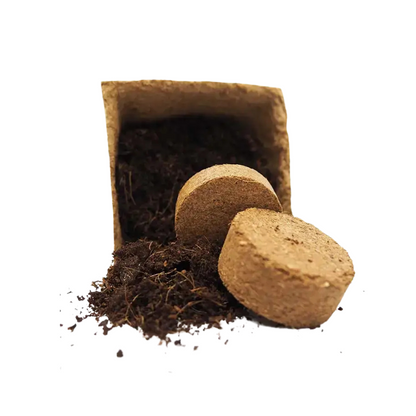 Kit De Cultivo De Lechuga Trocadero_1