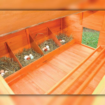 Gallinero Grande Para Exterior - Capacidad Para 8-12 Gallinas - Gallinero Calgary De Madera Con Cuatro Ponederos_3