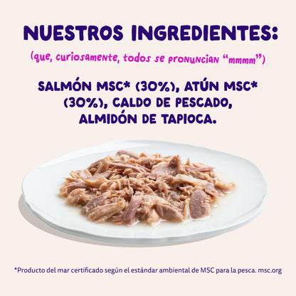 Filetes de salmón y atún para gatos Edgard &amp; Cooper 70 g