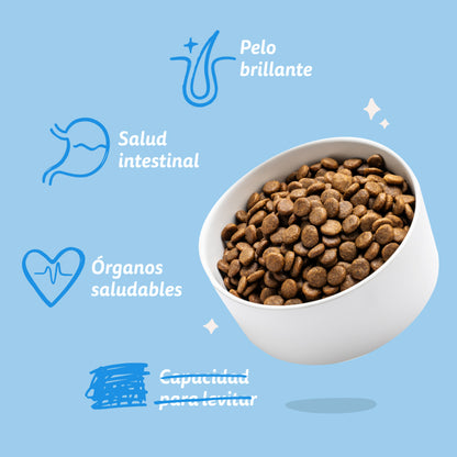 Pienso para perros Salmón Noruego Edgard &amp; Cooper 1 Kg