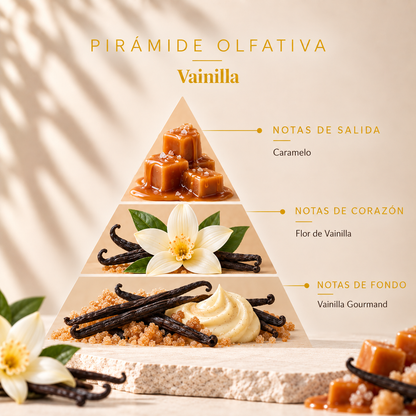 Recambio Mikado de Vainilla Origins SYS Aromas 200 ml | Con Palos | Aroma Dulce y Reconfortante_1