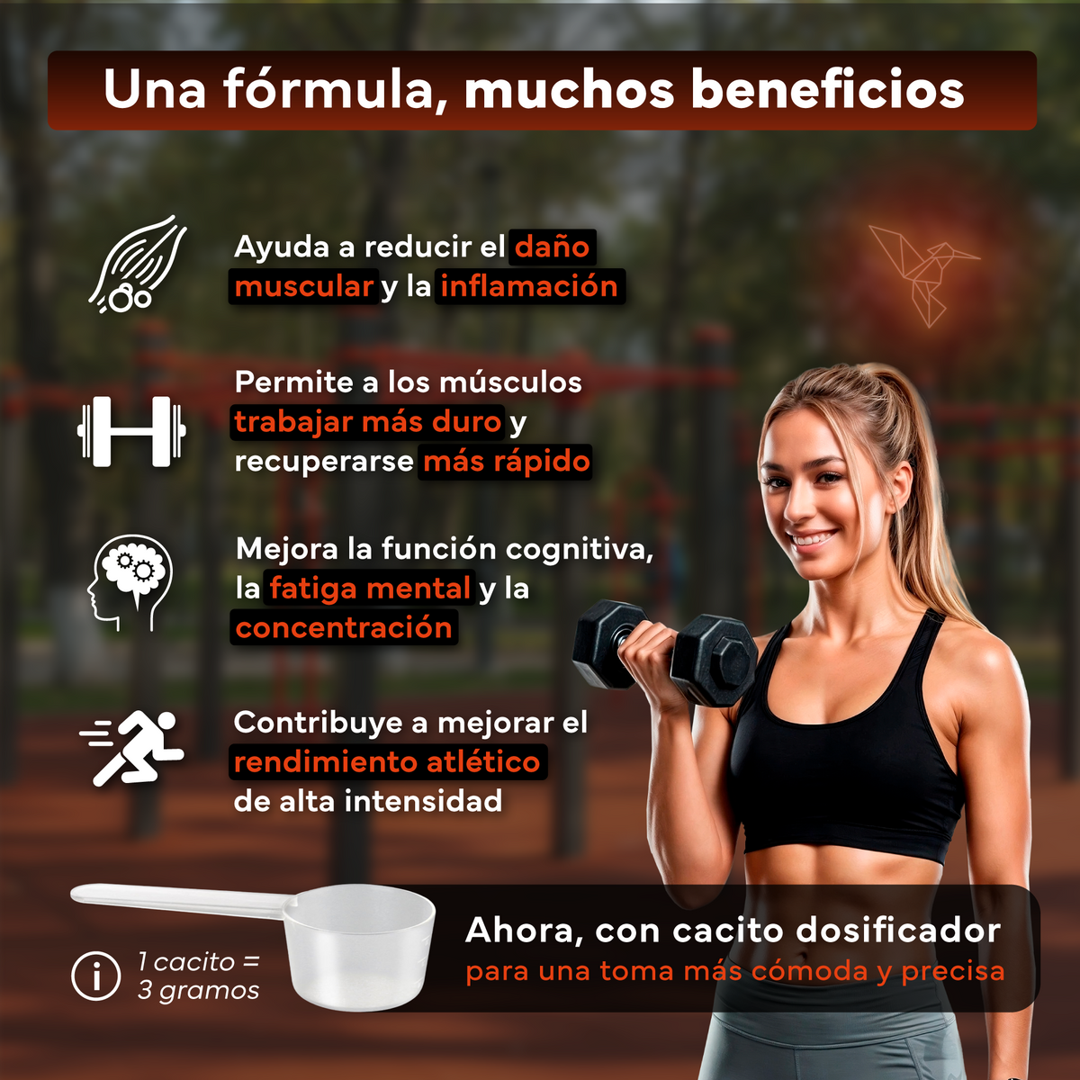 Pack 2x Creatina Monohidratada Sevens Nutrition. Más Fuerza, Energía Y Resistencia._2