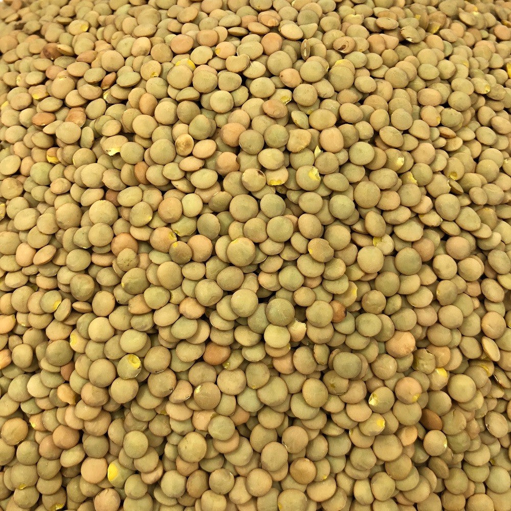 Harina De Arroz Blanco Ecológica Granel 10 Kg_0