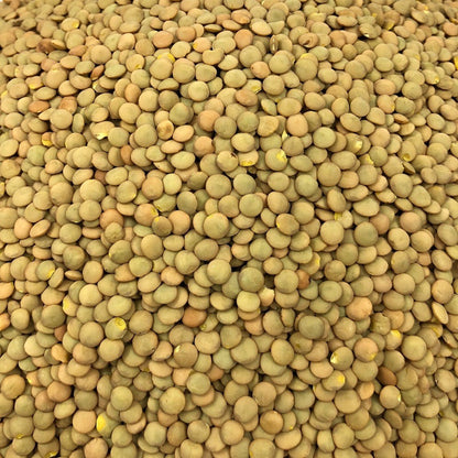Lenteja Rubia Ecológica Granel 1 Kg_2