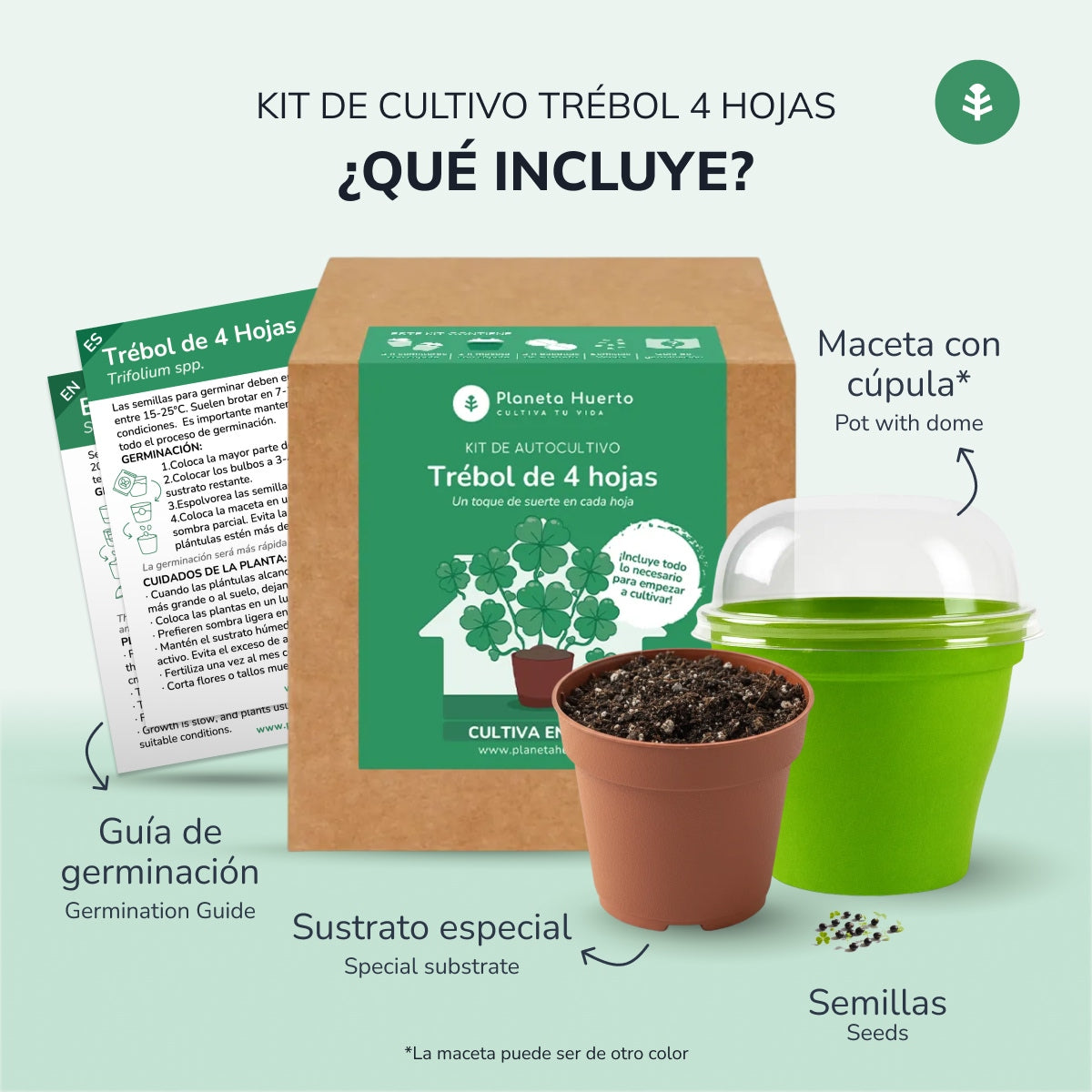 Kit de autocultivo Trébol de 4 hojas Planeta Huerto