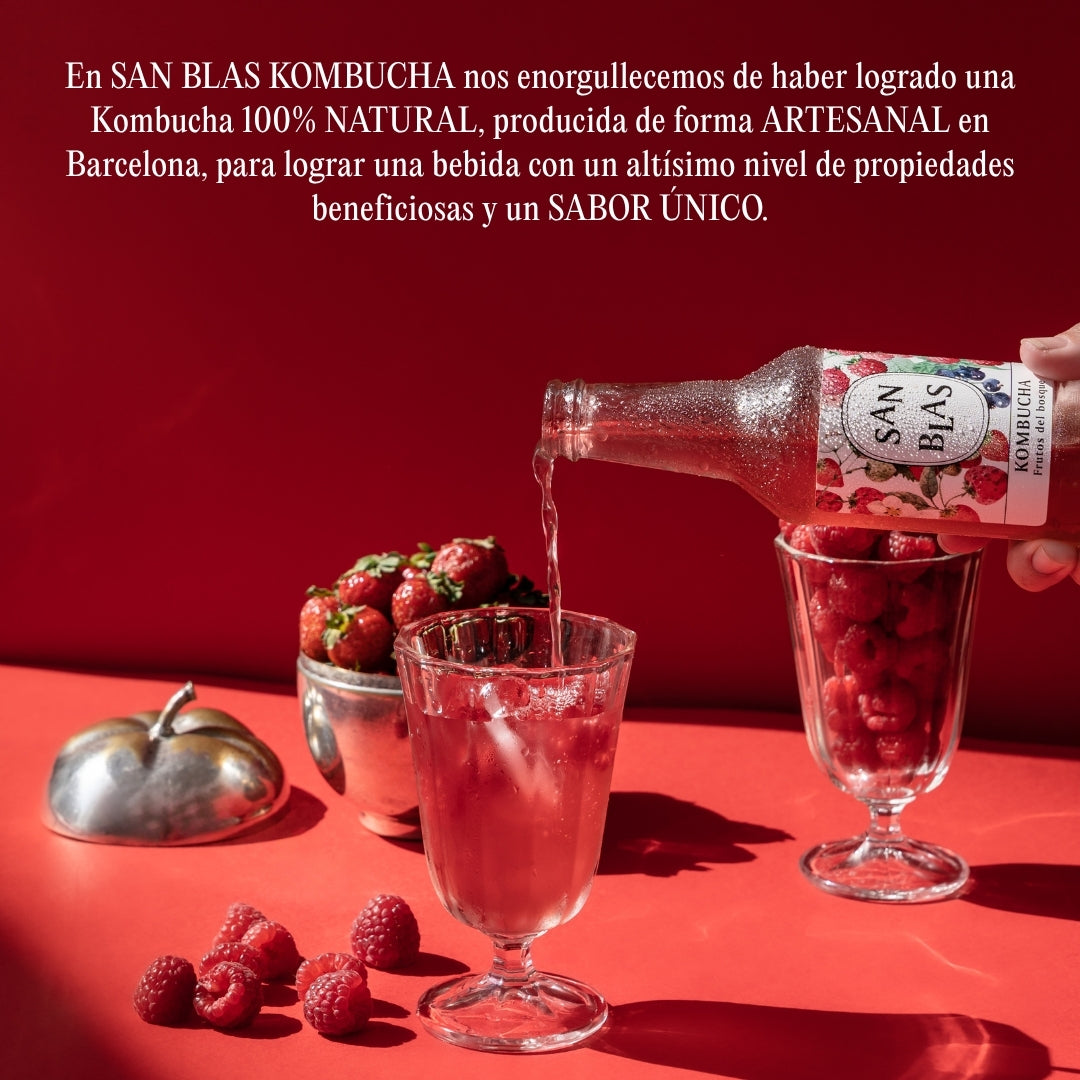 Kombucha Natural Ecológica | Pack 12 Botellas X 250 Ml | 4 Sabores Sin Pasteurizar | Bebida Probiótica Fermentada_2
