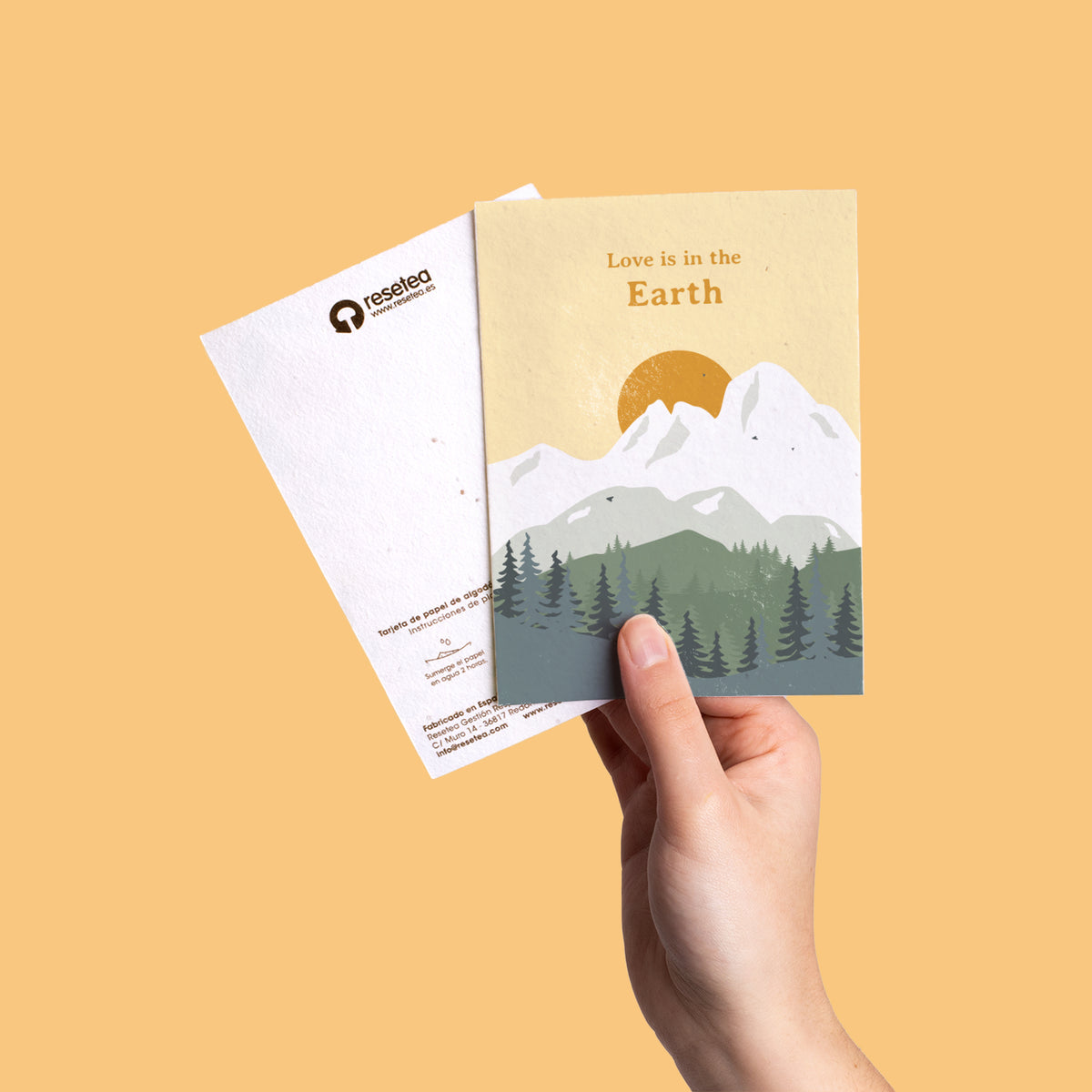 Postal Plantable "Love Is In The Earth" con Semillas de Manzanilla – Regalo Romántico - Resetea_3