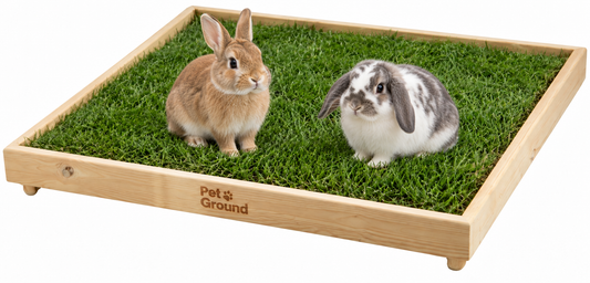 Pack PetGround, Cama de césped natural Para Conejos, Caja De Madera, Accesorio, Mueble Xxl: 92 X 92 Cm_0