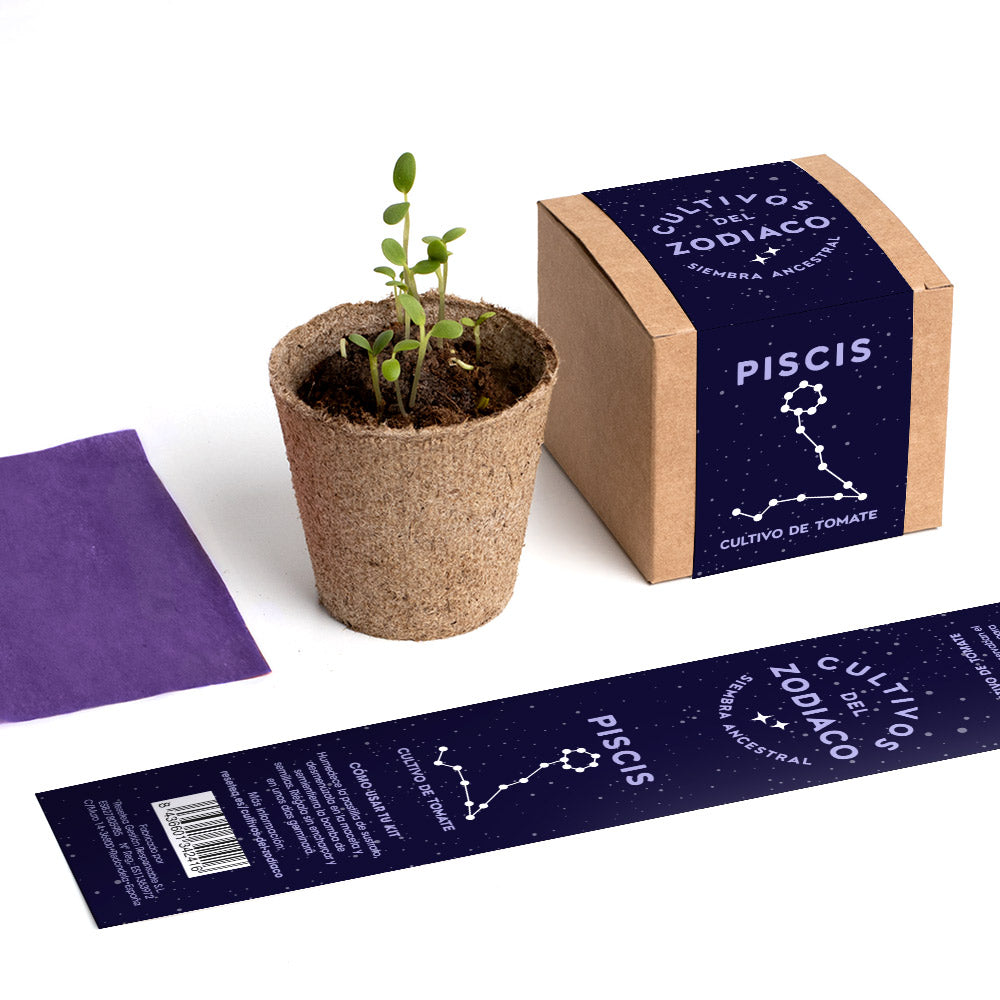 Cultivos del Zodiaco – Piscis, Kit de Cultivo con Semillas de Tomate, Regalo Astrológico - Resetea_4