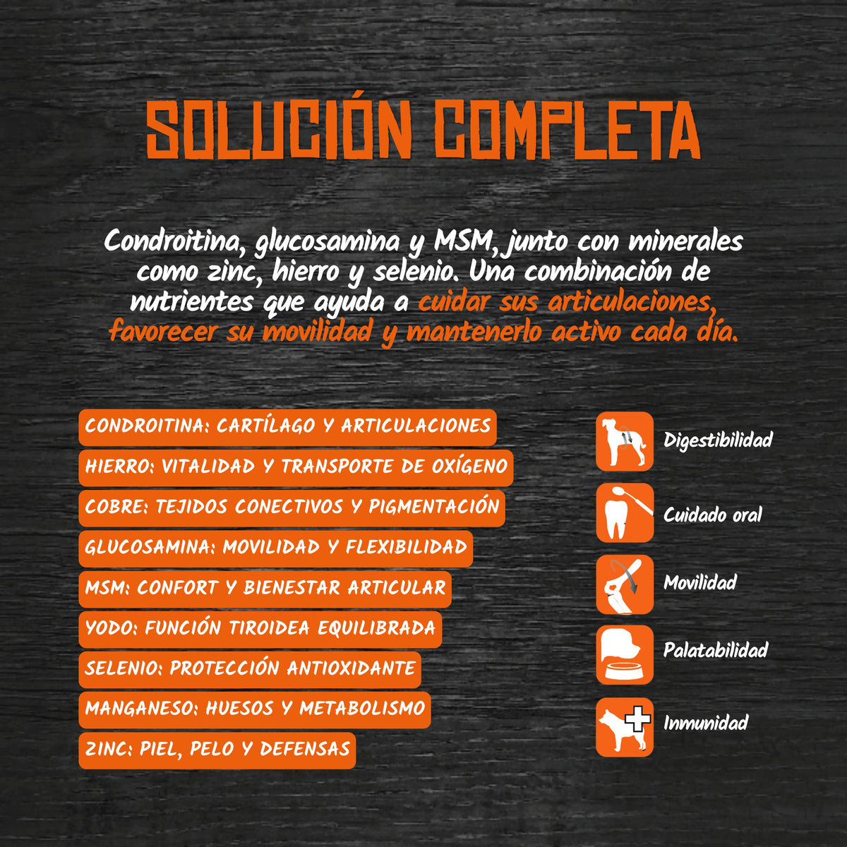 Paté para Perros de Conejo Grain Free Lenda 400 g