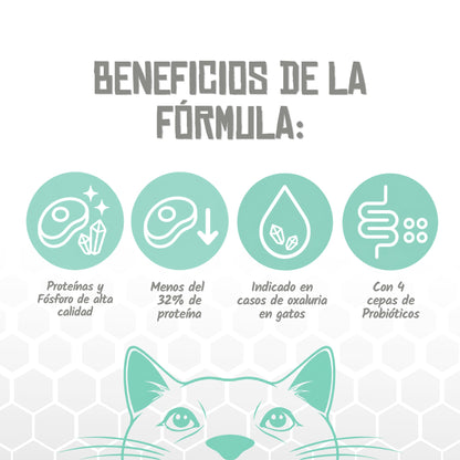 Pienso Veterinario Renal para Gatos Lenda 2 kg