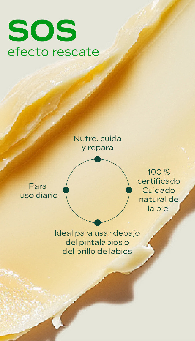 Glow Skin Ritual (Skin Food Original + Lip Stick) Weleda