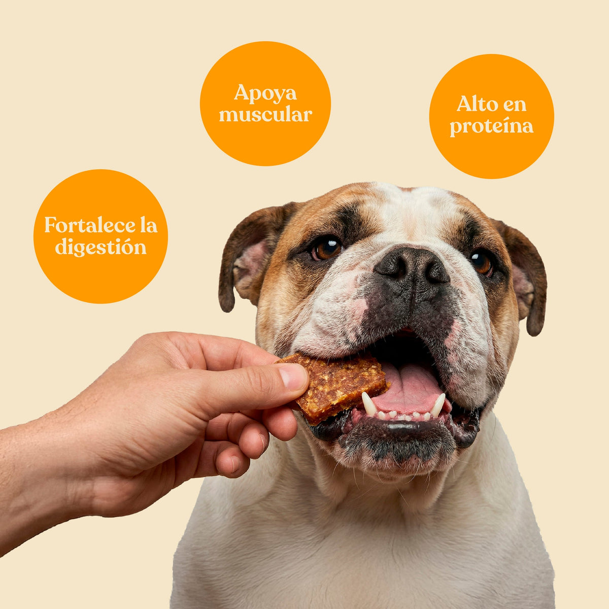 Snack Nuggets de Pollo con Brócoli para Perros 450 g dr.bimix