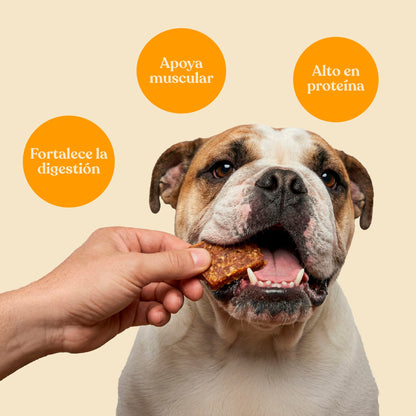 Snack Nuggets de Pollo con Brócoli para Perros 450 g dr.bimix