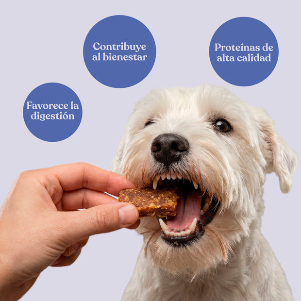 Snack Nuggets de Conejo con Patata y Romero para Perros 450 g dr.bimix