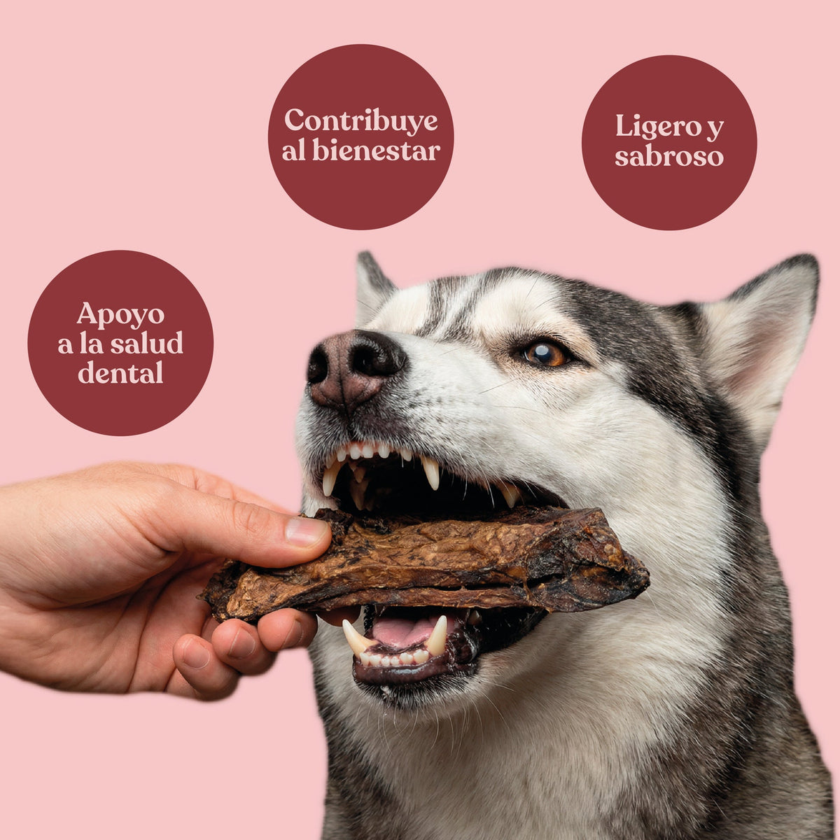 Snack Pulmones de Ternera para Perros Snack Natural 150 g dr.bimix