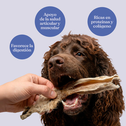 Snack Orejas de Conejo con Pelo para Perros Snack Natural 200 g dr.bimix