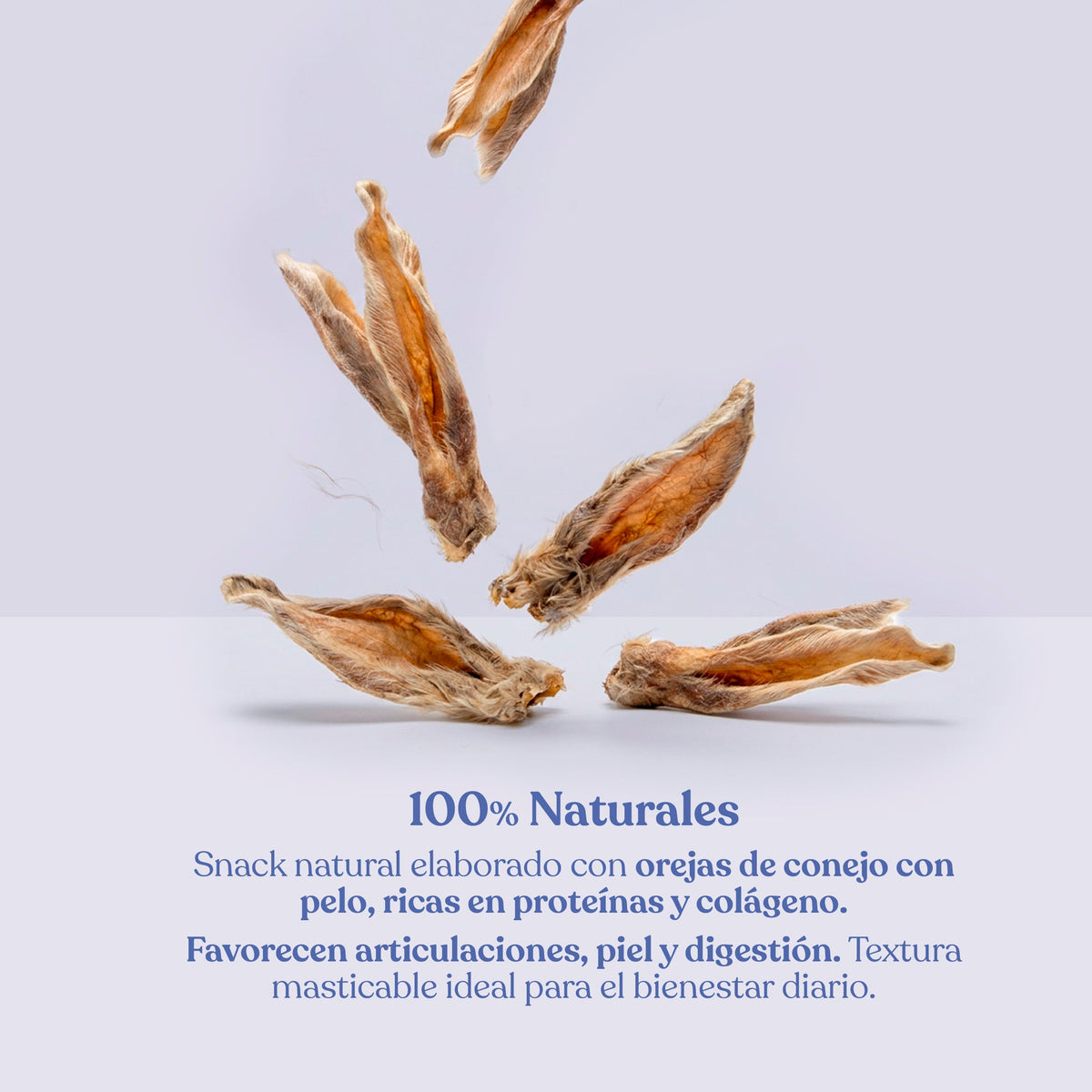 Snack Orejas de Conejo con Pelo para Perros Snack Natural 200 g dr.bimix
