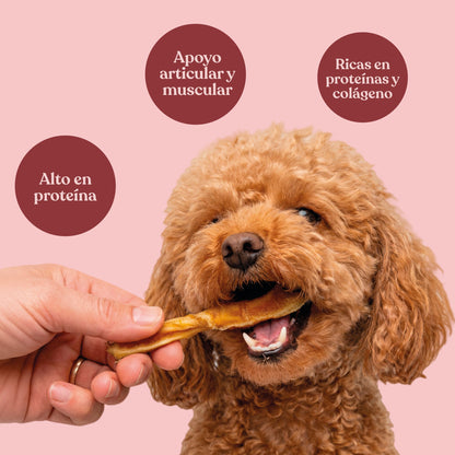 Snack Palitos de Caravaca para Perros Masticación Natural 225 g dr.bimix