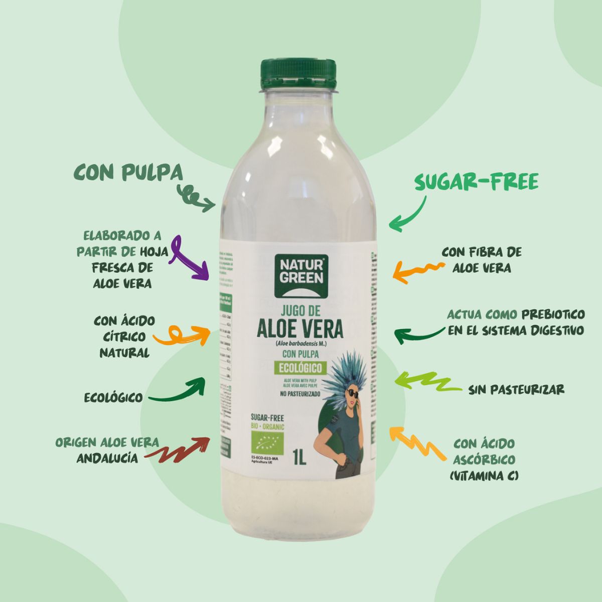 Pack x 12 Jugo de aloe vera con ágave, limón y gengibre NaturGreen 1 L