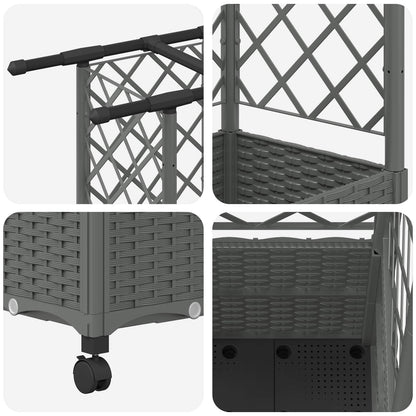 Cama Elevada Con Trellis Y Techo Gris Claro 163,5 X 40 X 142 Cm_5
