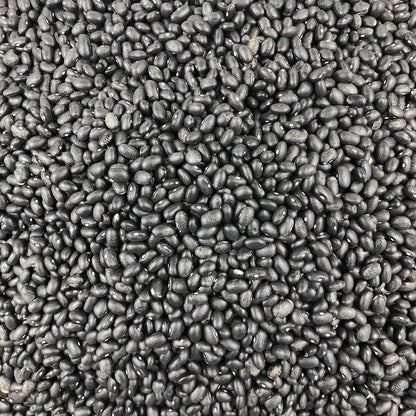 Frijol Negro Ecológico Granel 25 Kg_2
