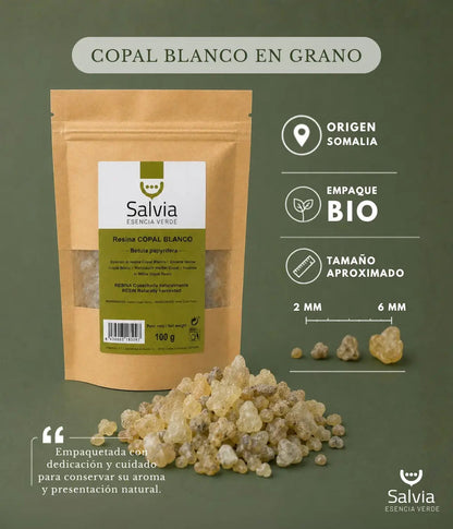 Salvia - Resina Copal Blanco, Granel | 100g_2