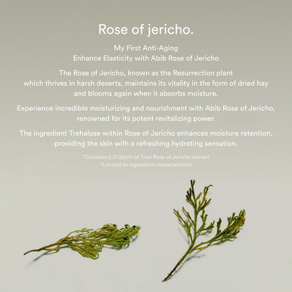 Jericho Rose Bifida Serum Firming Drop Abib