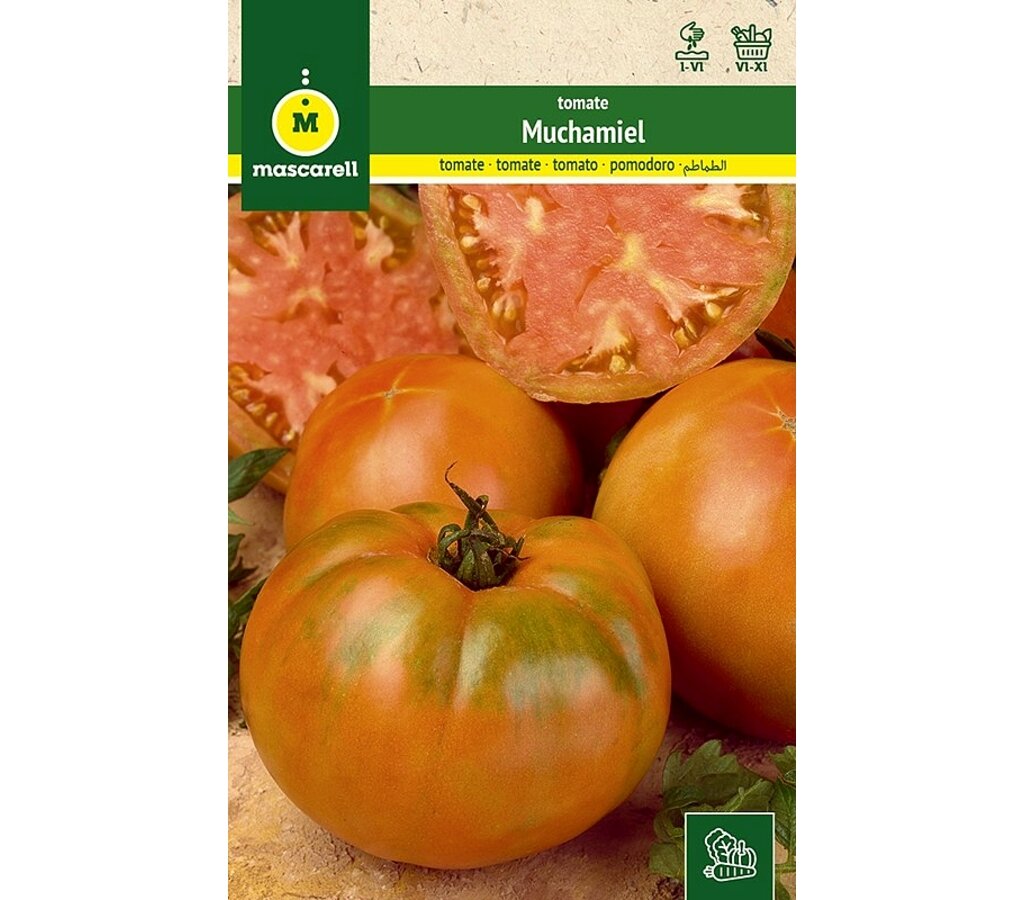 Semillas Tomate Muchamiel_0