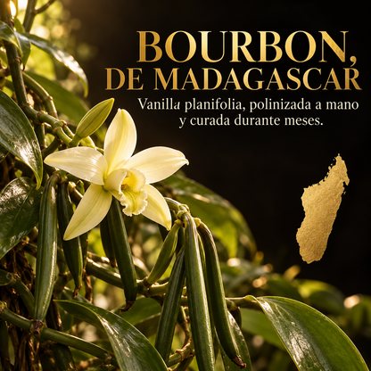 Extracto De Vainilla Bourbon Ecológica En Polvo De Madagascar (vanilla Planifolia) - Pack 4 X 50g (4 Envases Retail)_3