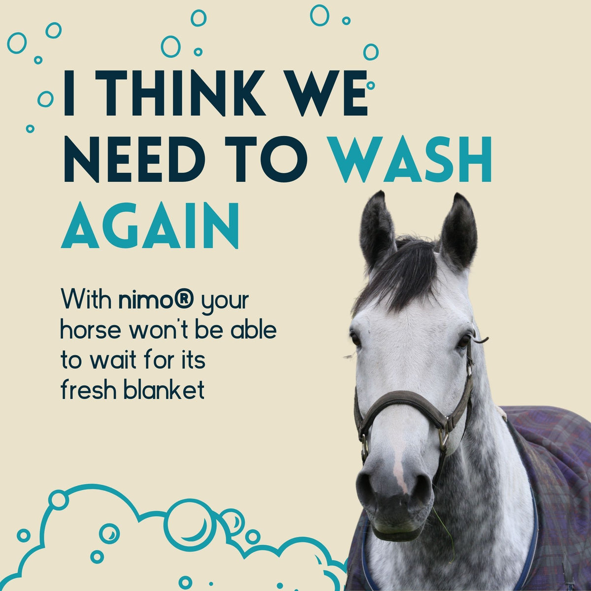 Detergente Para Mantas De Caballo - Nimo - 2,5 L_1