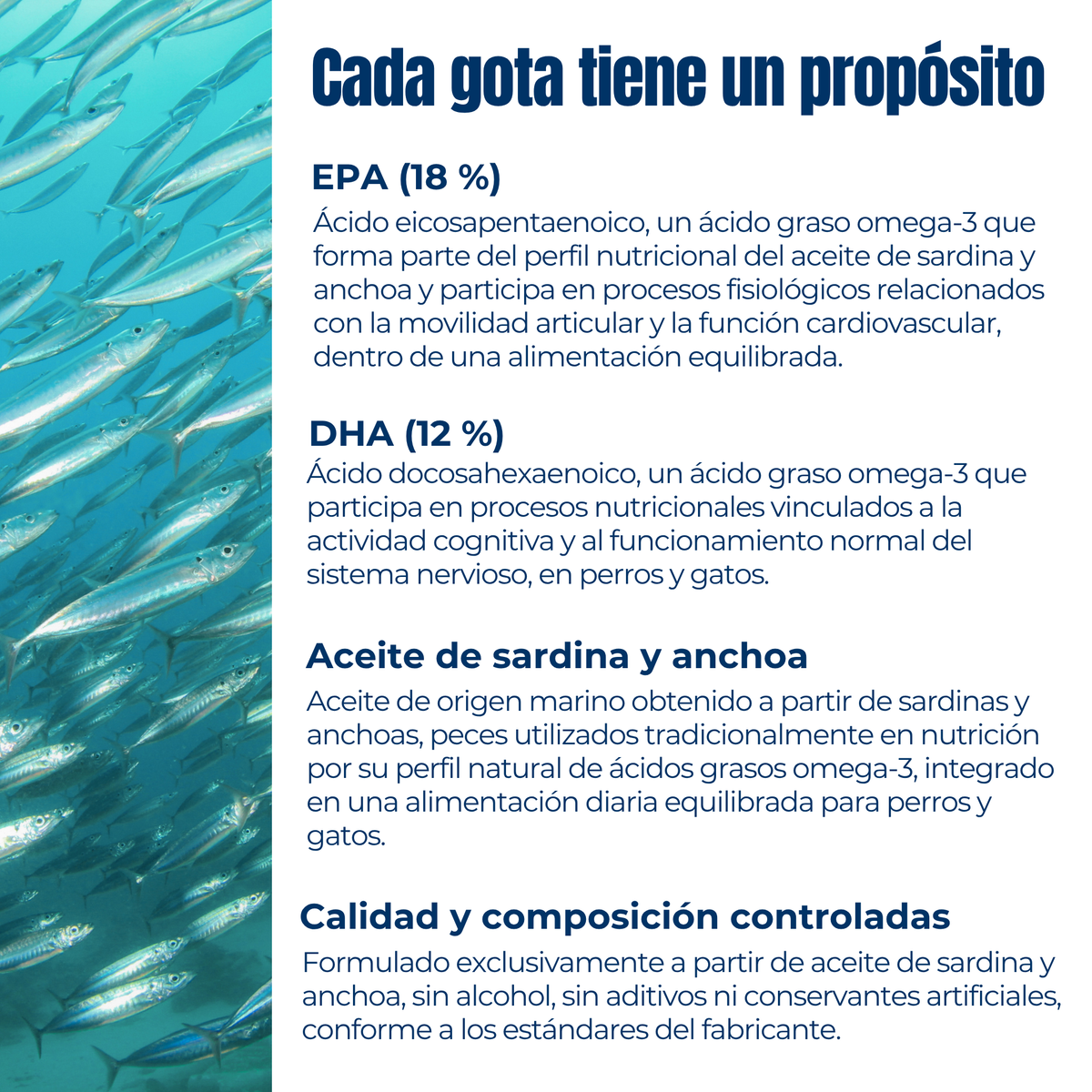 Aceite Omega 3 para perros y gatos – EPA DHA – Sardina y anchoa – 200 ml_3