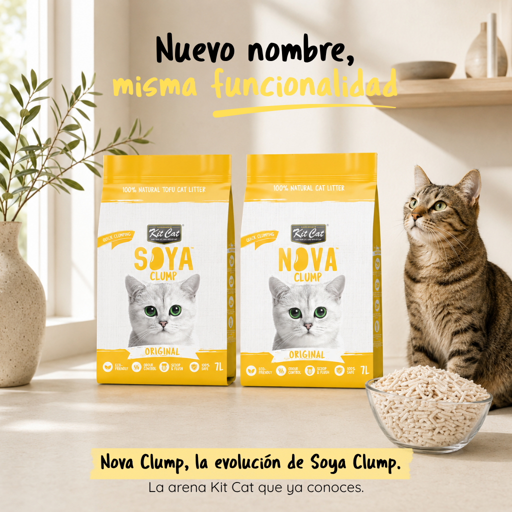 Kit Cat Arena Eco Nova Clump - Original 7 L Arena para gatos - Sin Aroma Añadido