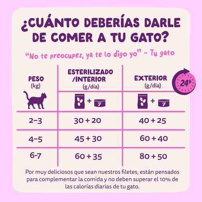 Filetes de salmón y pollo para gatos Edgard &amp; Cooper 70 g