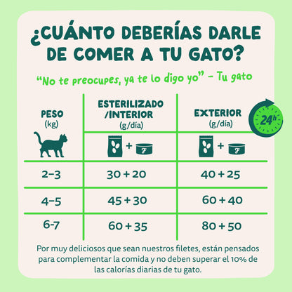 Filetes de salmón y caballa para gatos Edgard &amp; Cooper 70 g