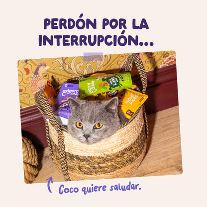 Sobres de comida húmeda Pato &amp; Pavo en Salsa para Gatos Adultos | Edgard &amp; Cooper 85 g