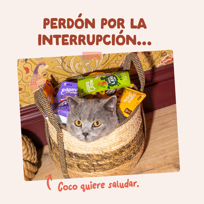 Sobre de Comida Húmeda Trucha &amp; Pollo en Salsa para Gatos Edgard &amp; Cooper 85 g