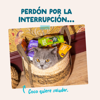 Sobres de comida húmeda Atún &amp; Pollo en Salsa para Gatos Adultos | Edgard &amp; Cooper 85 g