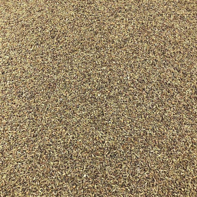 Semillas De Anis Verde Bio Granel 2 Kg_0