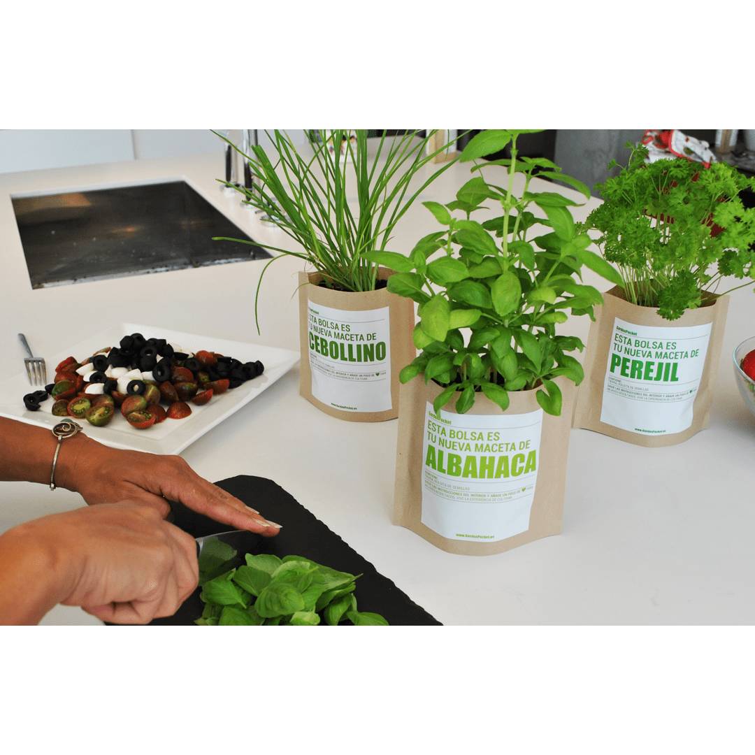Kit huerto de aromáticas pocket: Eneldo