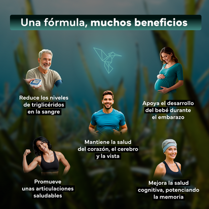 Omega 3 Vegano Sevens Nutrition. Dha Puro Para Cerebro, Visión Y Salud_2