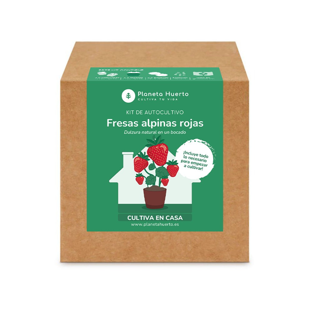 Kit de autocultivo Fresas alpinas rojas Planeta Huerto
