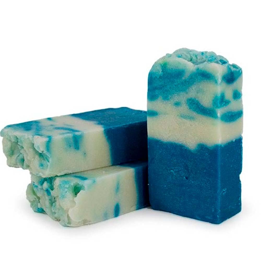 Pack 2 Jabón Natural Algas Marinas - Activa Circulación En Piernas Cansadas - Exfoliante Y Anticelulítico - Para Cuerpo_0