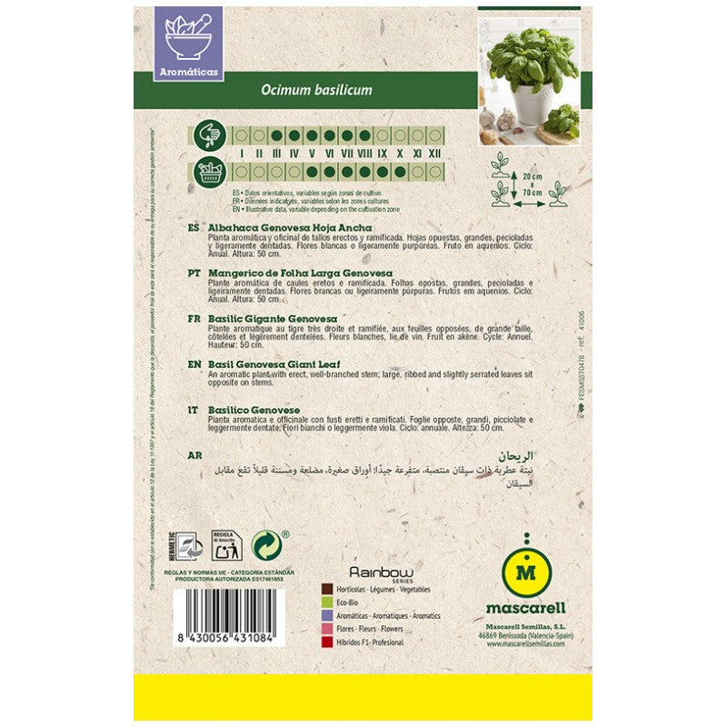 Semillas Albahaca Genovesa Hoja Ancha_1