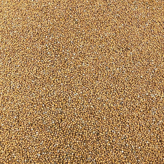 Semillas De Mostaza Amarilla Orgánica A Granel 0,25 Kg_0